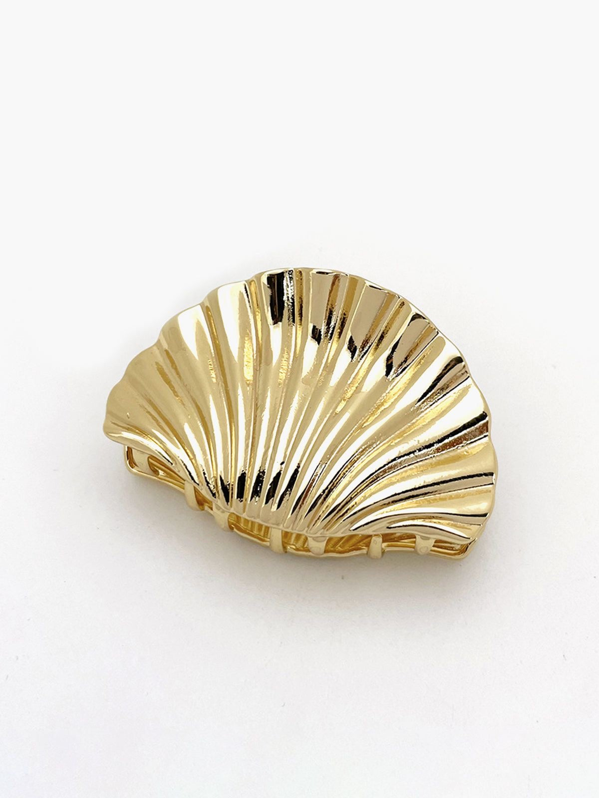 Sea Shell Claw